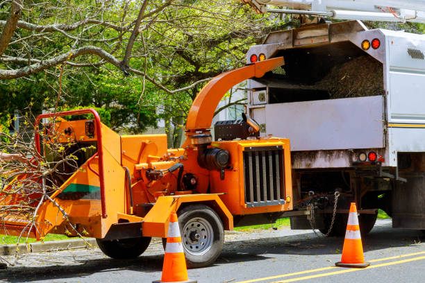 Trusted Yazoo City, MS Tree Removal and Landscaping Services Experts